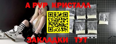 твердый Кингисепп