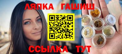 твердый Кингисепп